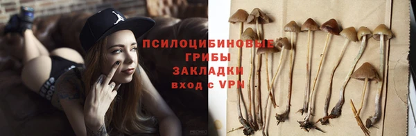 ГАЛЛЮЦИНОГЕННЫЕ ГРИБЫ Алексин