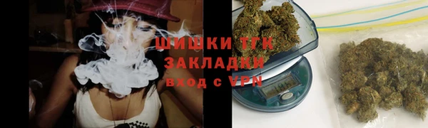 ГАЛЛЮЦИНОГЕННЫЕ ГРИБЫ Алексин
