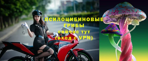 ГАЛЛЮЦИНОГЕННЫЕ ГРИБЫ Алексин